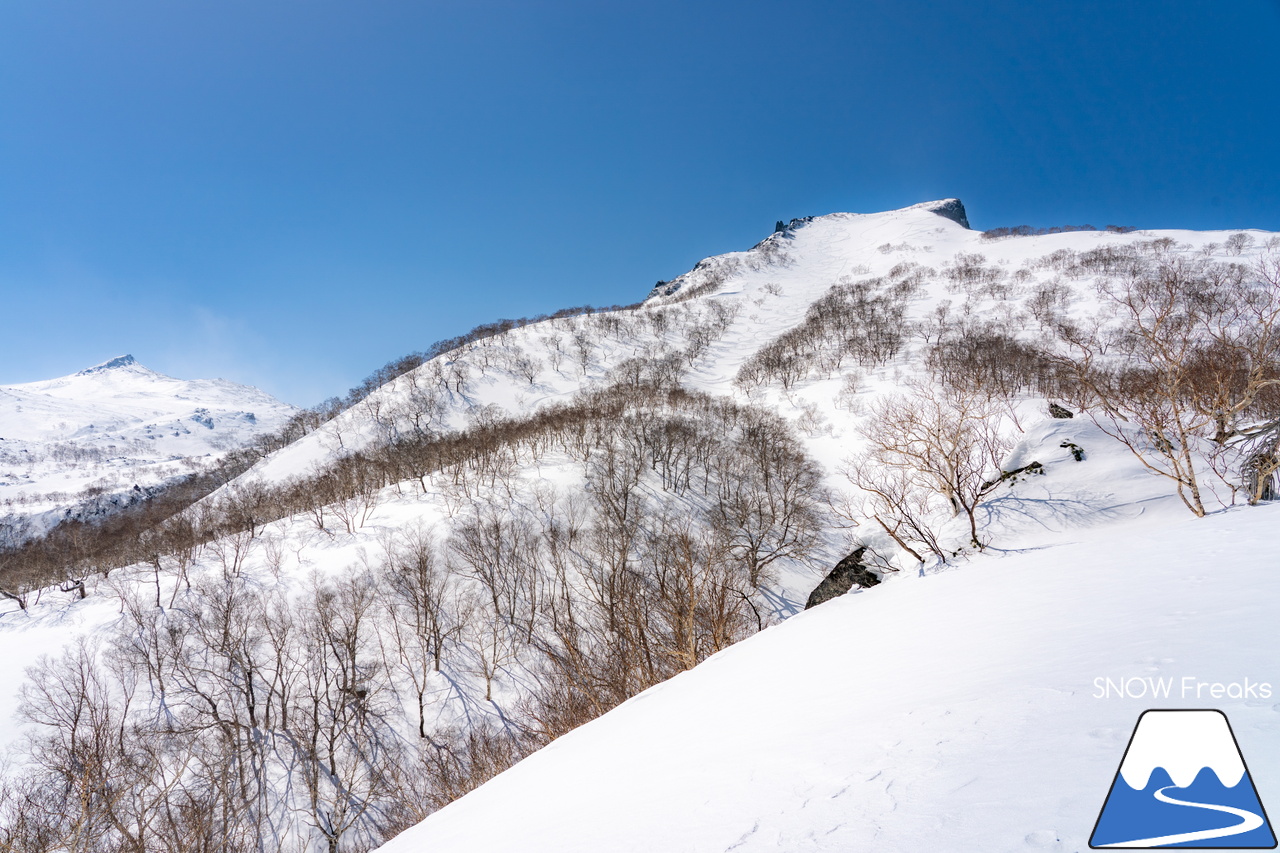 大雪山層雲峡・黒岳ロープウェイスキー場｜只今の積雪 360cm！『神々の遊ぶ庭』に降り積もる雪は、やはり別物でした(^^)v